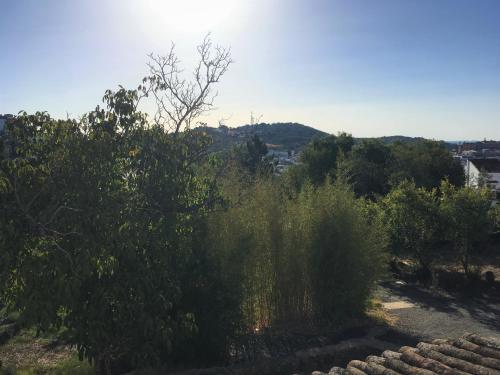 Finca Horno De Cal