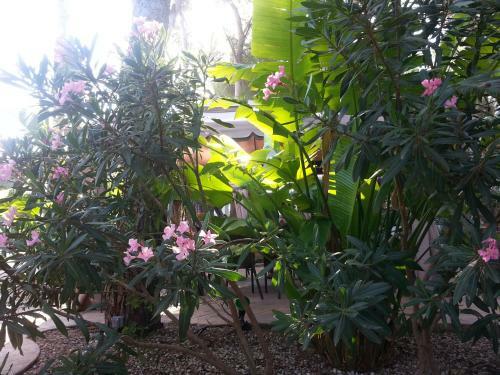 Hotel Palau Verd - Adults Only