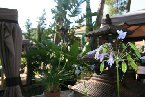 Hotel Palau Verd - Adults Only
