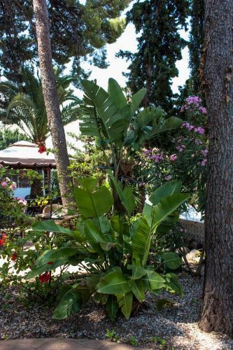 Hotel Palau Verd - Adults Only