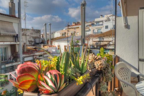 Apartment Orquidea