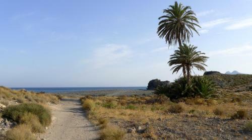Apartamento La Posidonia