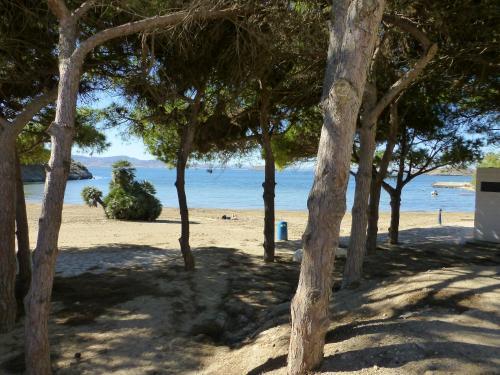 Apartamento Euromar Arp�n