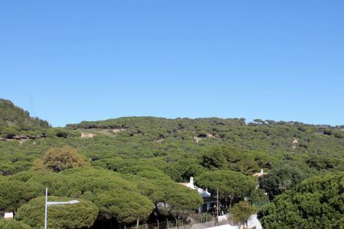 Ca�os Costa Apartments