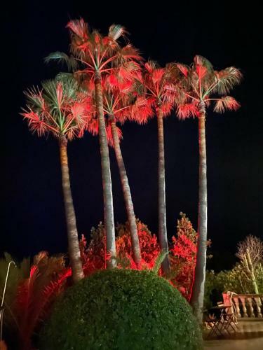 Hotel S�hort De Can Carri�