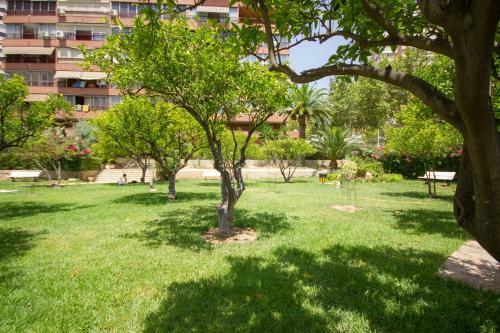 Apartamento Principado Europa - Beninter