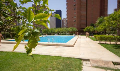 Apartamento Principado Europa - Beninter