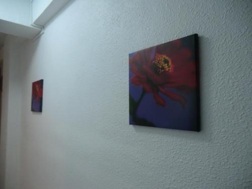 Apartamento Casas Holiday Miramar IV