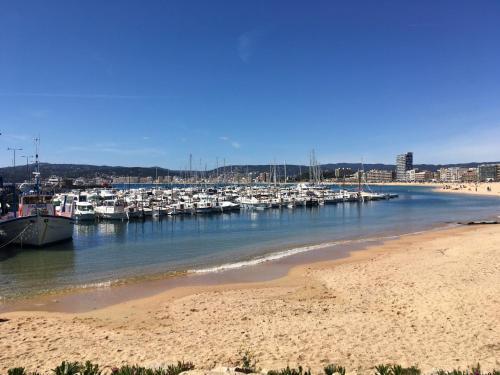 Apartament La Gamba De Palam�s