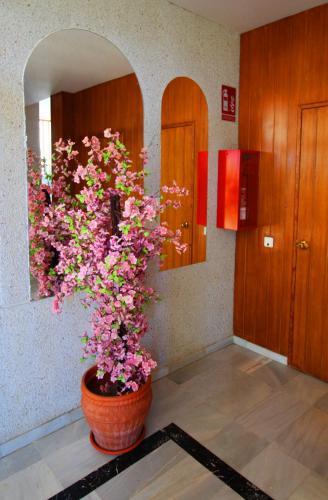 Apartamento Corintio 4c