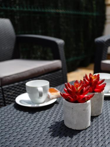 Apartamento Casa Al Comp�s De Rosario