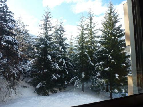 Apartment La Molina