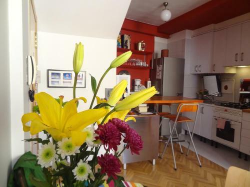 Apartment Olivar