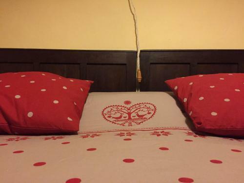 Bed & Breakfast Casa Coll