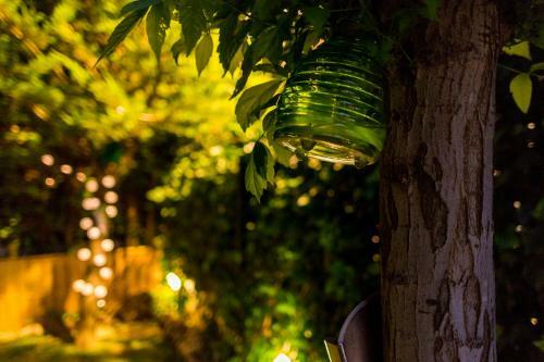 Hotel El Balcon De Las Nieves