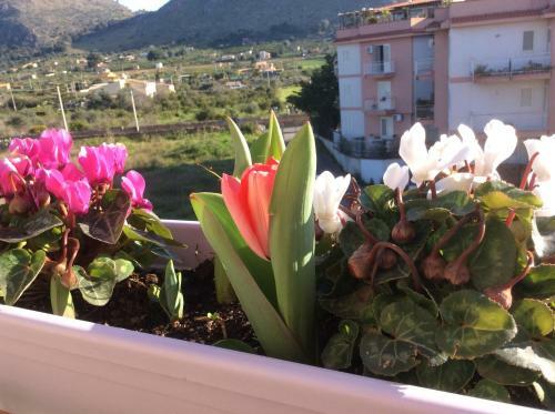 Bed & Breakfast Ifioridisicilia