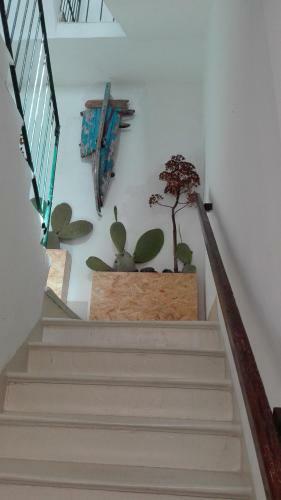 Apartamento La Casa Rosa