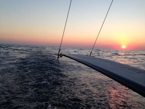 Gozo Sailingboat