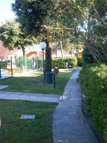 Apartments In Bibione 24604