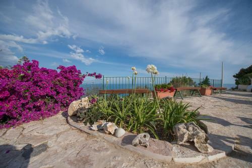 Terrazza Sul Mare