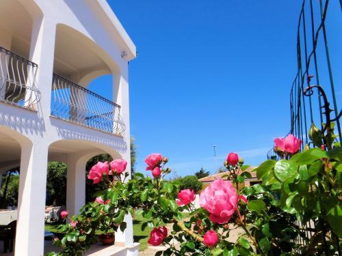 Apartamento Sa Fiorida Appartamenti