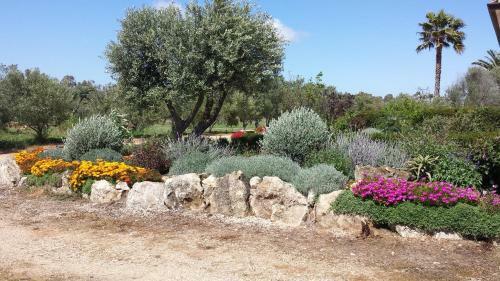 Agroturismo Agriturismo Sa Suerera