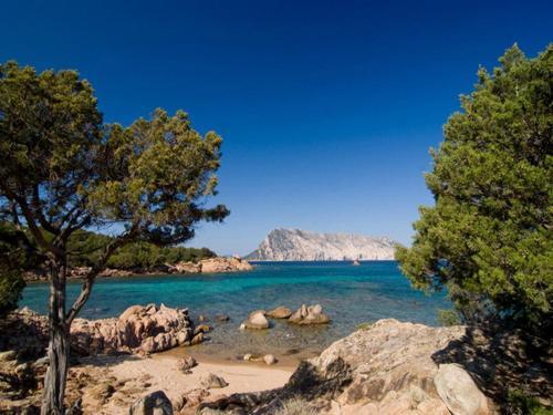 Apartamento Residence San Teodoro 1