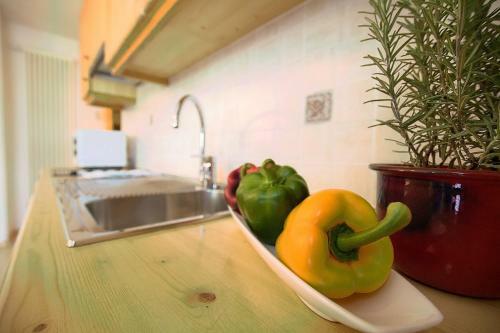 Apartamento Garn� La Dorada