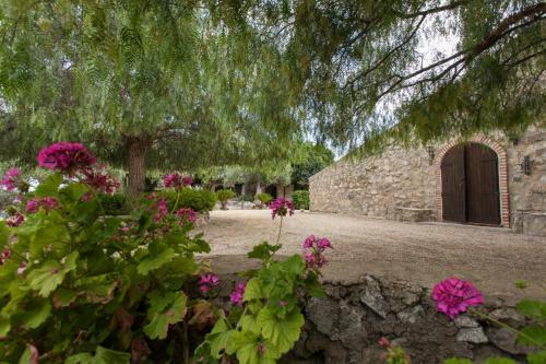 Bed & Breakfast Roba Degli Ulivi