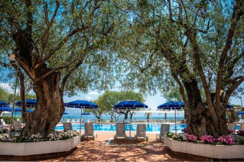 Hotel Torre Oliva