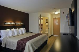 Hotel Red Roof Inn Saugus