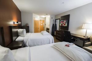 Hotel Red Roof Inn Saugus