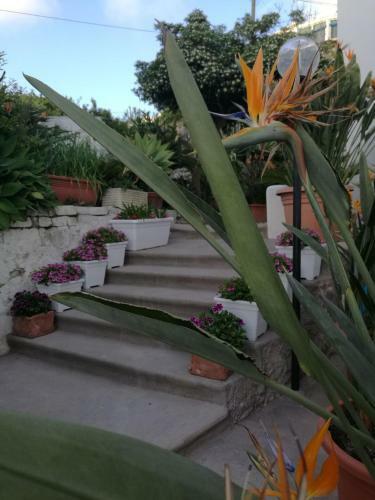 Hostal Villa Loreta