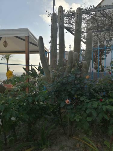 Hostal Villa Loreta