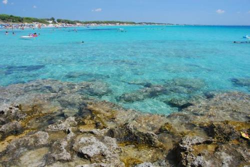 Aglaia B&B