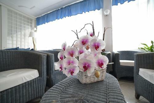 Hotel Albergo Villa Rosa