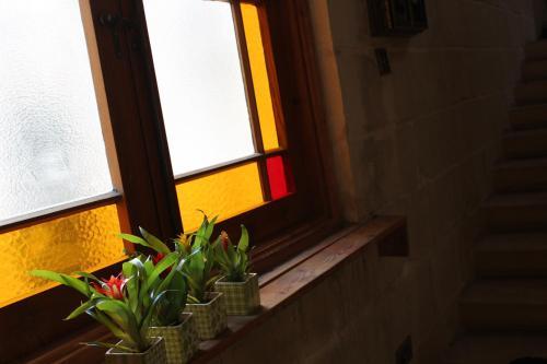 Hostal Villa Vittoria