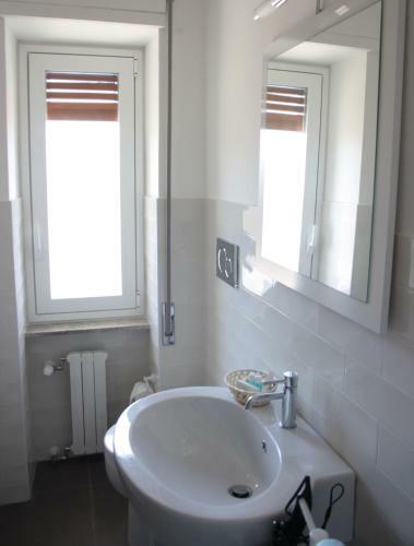 B&B Ficodindia