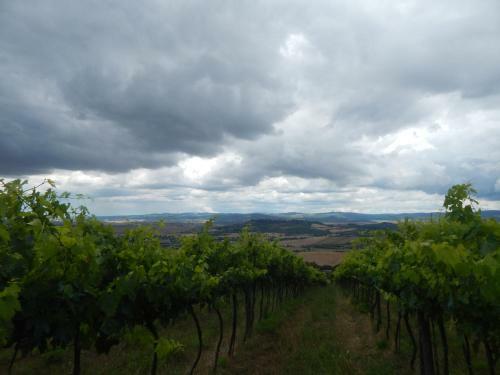 Agroturismo Piane Del Bagno