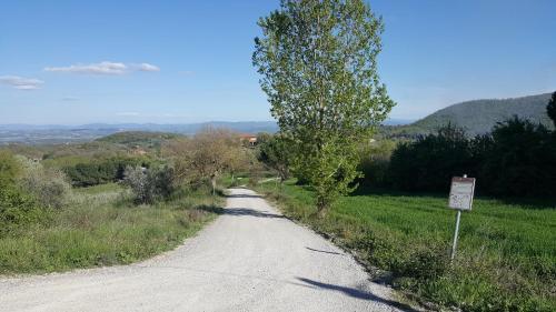 Agroturismo Il Gonzeto
