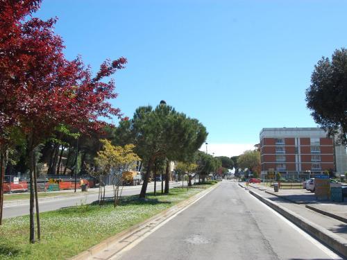 Apartment Carolina Tre