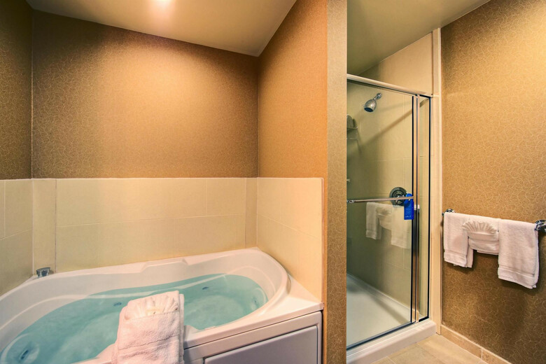 Hotel Hilton Garden Inn Dfw North Grapevine