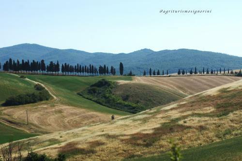 Agroturismo Agriturismo Signorini