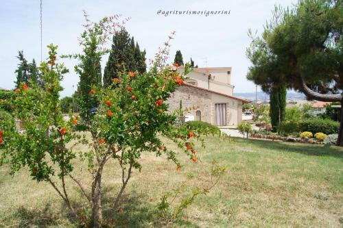 Agroturismo Agriturismo Signorini