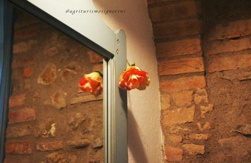 Agroturismo Agriturismo Signorini