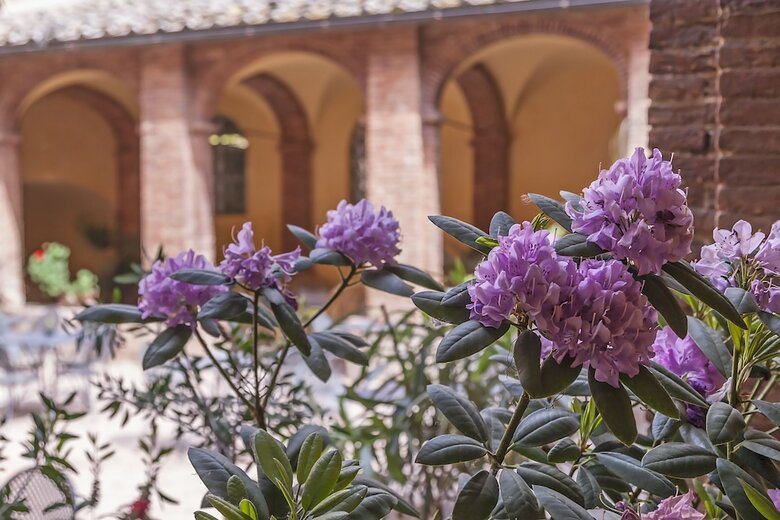 Bed & Breakfast Il Chiostro Del Carmine
