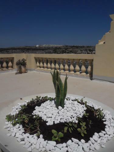 Bed & Breakfast Villa Zammitella