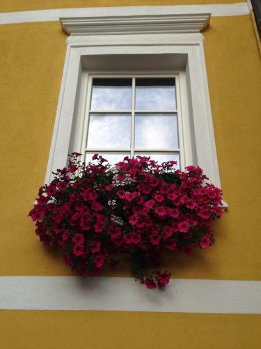 Romantic Hotel Excelsior