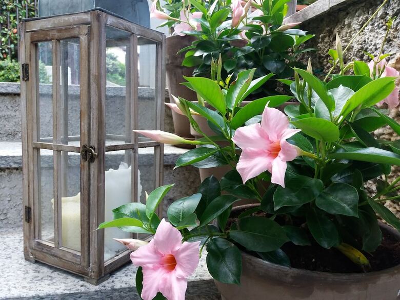 Apartamento Residence Domaso - Resort & Spa