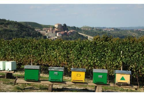 Bed & Breakfast Villa Vecchio